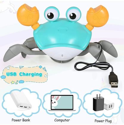 Crawling Crab Musical Toy